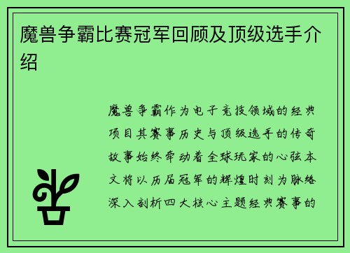魔兽争霸比赛冠军回顾及顶级选手介绍